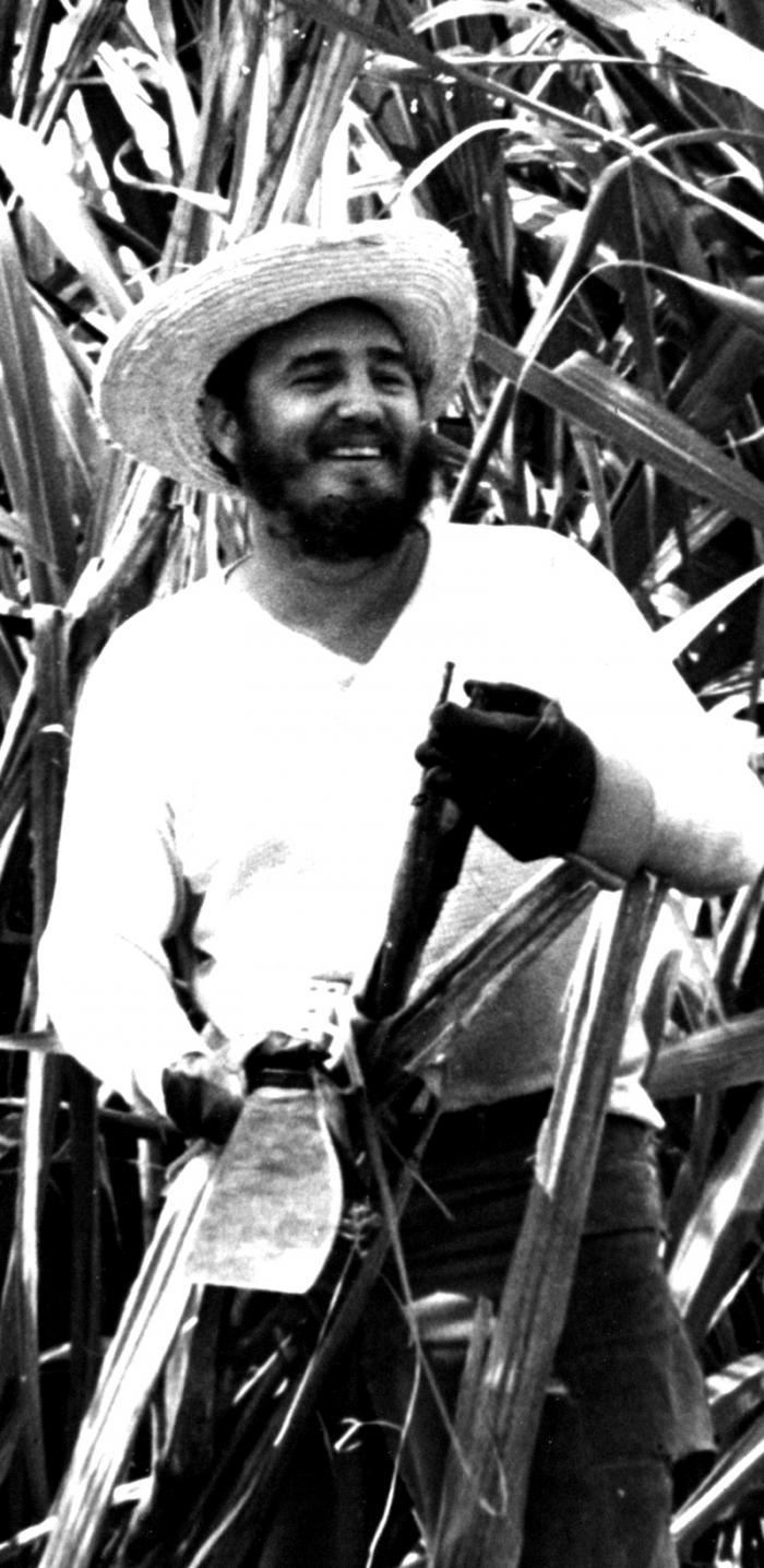 fidel
